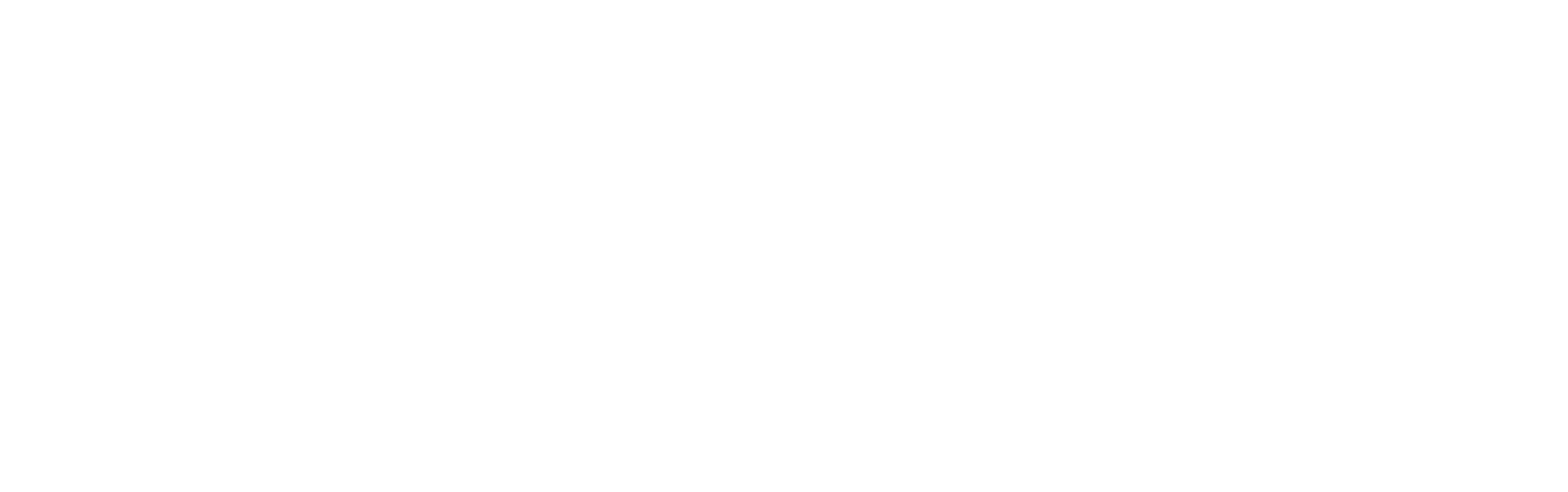 IBS-Developments_Logo-(Full)